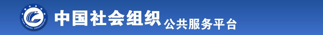 插美女网站全国社会组织信息查询